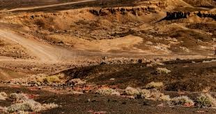 2026 WBC：日本队投手名单中的石井大智（阪神）表示，将在国际赛场展示日职的压制力